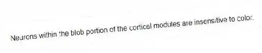 Neurons within the blob portion of the cortical modules are insensitive to color.