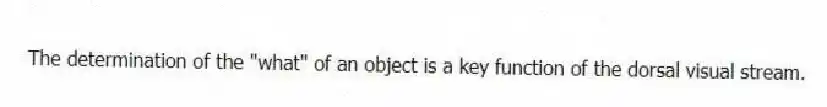 The determination of the "what" of an object is a key function of the dorsal visual stream.