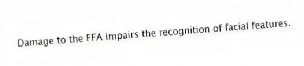 Damage to the FFA impairs the recognition of facial features.