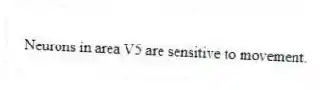 Neurons in area V5 are sensitive to movement.