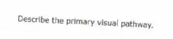 Describe the primary visual pathway.