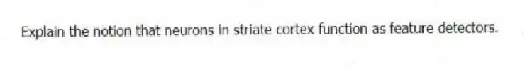 Explain the notion that neurons in striate cortex function as feature detectors.