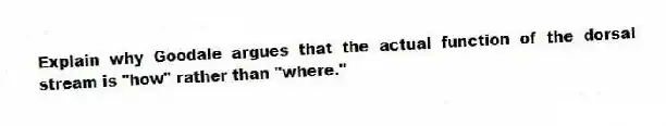 Explain why Goodale argues that the actual function of the dorsal stream is "how" rather than "where."