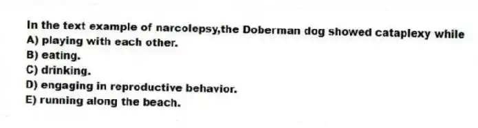 In the text example of narcolepsy,the Doberman dog showed cataplexy while
A) playing with each other.
B) eating.
C) drinking.
D) engaging in reproductive behavior.
E) running along the beach.