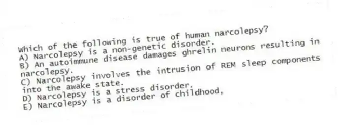 Which of the following is true of human narcolepsy?
A) Narcolepsy is a non-genetic disorder.
B) An autoimmune disease damages ghrelin neurons resulting in narcolepsy.
C) Narcolepsy involves the intrusion of REM sleep components into the awake state.
D) Narcolepsy is a stress disorder.
E) Narcolepsy is a disorder of childhood,