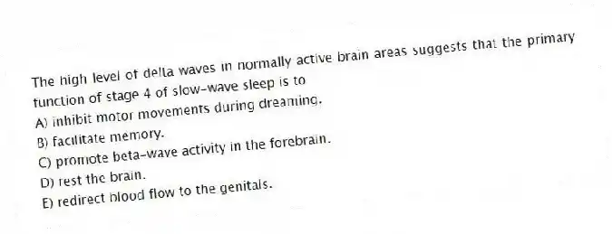 The high level of delta waves in normally active brain areas suggests that the primary function of stage 4 of slow-wave sleep is to
A) inhibit motor movements during dreaming.
B) facilitate memory.
C) promote beta-wave activity in the forebrain.
D) rest the brain.
E) redirect blood flow to the genitals.