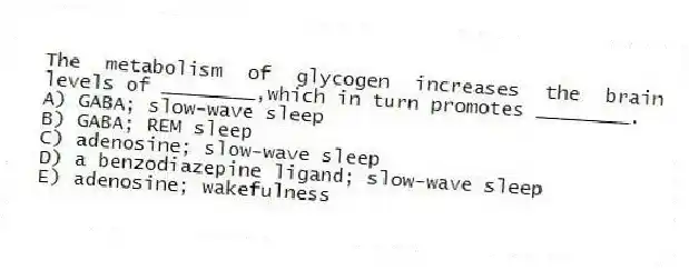 The metabolism of glycogen increases the brain levels of ________,which in turn promotes ________.
A) GABA; slow-wave sleep
B) GABA; REM sleep
C) adenosine; slow-wave sleep
D) a benzodiazepine ligand; slow-wave sleep
E) adenosine; wakefulness