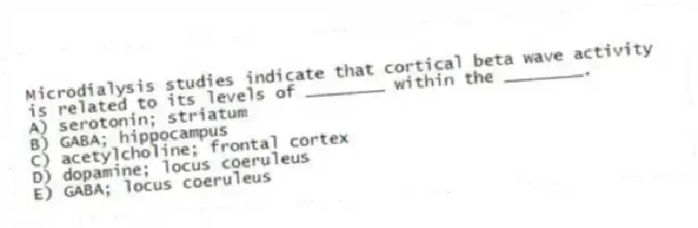 Microdialysis studies indicate that cortical beta wave activity is related to its levels of ________ within the ________.
A) serotonin; striatum
B) GABA; hippocampus
C) acetylcholine; frontal cortex
D) dopamine; locus coeruleus
E) GABA; locus coeruleus