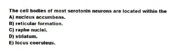 The cell bodies of most serotonin neurons are located within the
A) nucleus accumbens.
B) reticular formation.
C) raphe nuclei.
D) striatum.
E) locus coeruleus.