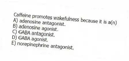 Caffeine promotes wakefulness because it is a(n)
A) adenosine antagonist.
B) adenosine agonist.
C) GABA antagonist.
D) GABA agonist.
E) norepinephrine antagonist.