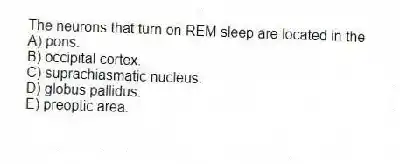 The neurons that turn on REM sleep are located in the
A) pons.
B) occipital cortex.
C) suprachiasmatic nucleus.
D) globus pallidus.
E) preoptic area.