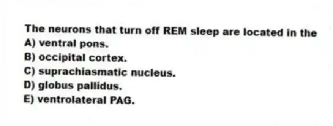 The neurons that turn off REM sleep are located in the
A) ventral pons.
B) occipital cortex.
C) suprachiasmatic nucleus.
D) globus pallidus.
E) ventrolateral PAG.