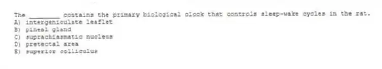 The ________ contains the primary biological clock that controls sleep-wake cycles in the rat.
A) intergeniculate leaflet
B) pineal gland
C) suprachiasmatic nucleus
D) pretectal area
E) superior colliculus