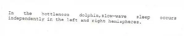 In the bottlenose dolphin,slow-wave sleep occurs independently in the left and right hemispheres.