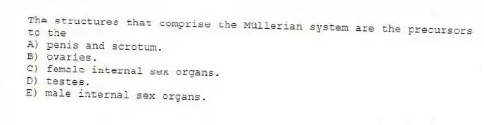 The structures that comprise the Müllerian system are the precursors to the
A) penis and scrotum.
B) ovaries.
C) female internal sex organs.
D) testes.
E) male internal sex organs.