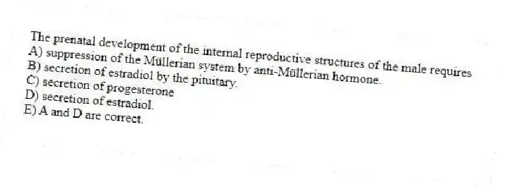 The prenatal development of the internal reproductive structures of the male requires
A) suppression of the Müllerian system by anti-Müllerian hormone.
B) secretion of estradiol by the pituitary.
C) secretion of progesterone
D) secretion of estradiol.
E) A and D are correct.
