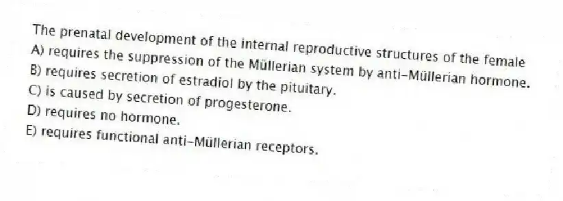 The prenatal development of the internal reproductive structures of the female
A) requires the suppression of the Müllerian system by anti-Müllerian hormone.
B) requires secretion of estradiol by the pituitary.
C) is caused by secretion of progesterone.
D) requires no hormone.
E) requires functional anti-Müllerian receptors.