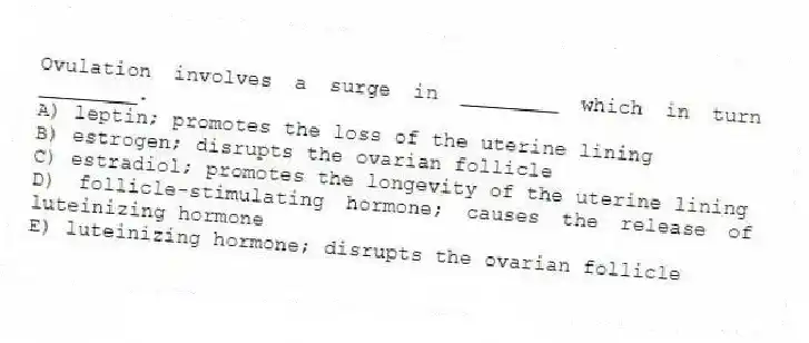 Ovulation involves a surge in ________ which in turn ________.
A) leptin; promotes the loss of the uterine lining
B) estrogen; disrupts the ovarian follicle
C) estradiol; promotes the longevity of the uterine lining
D) follicle-stimulating hormone; causes the release of luteinizing hormone
E) luteinizing hormone; disrupts the ovarian follicle