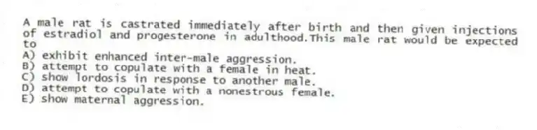 A male rat is castrated immediately after birth and then given injections of estradiol and progesterone in adulthood.This male rat would be expected to
A) exhibit enhanced inter-male aggression.
B) attempt to copulate with a female in heat.
C) show lordosis in response to another male.
D) attempt to copulate with a nonestrous female.
E) show maternal aggression.