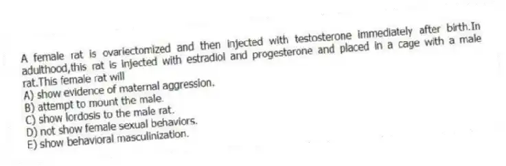 A female rat is ovariectomized and then injected with testosterone immediately after birth.In adulthood,this rat is injected with estradiol and progesterone and placed in a cage with a male rat.This female rat will
A) show evidence of maternal aggression.
B) attempt to mount the male.
C) show lordosis to the male rat.
D) not show female sexual behaviors.
E) show behavioral masculinization.