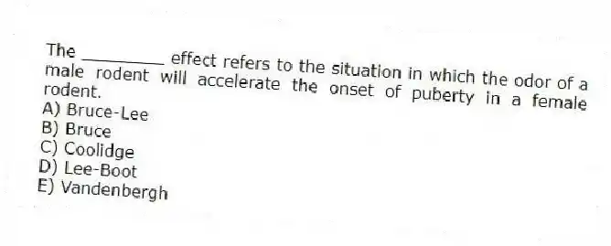 The ________ effect refers to the situation in which the odor of a male rodent will accelerate the onset of puberty in a female rodent.
A) Bruce-Lee
B) Bruce
C) Coolidge
D) Lee-Boot
E) Vandenbergh