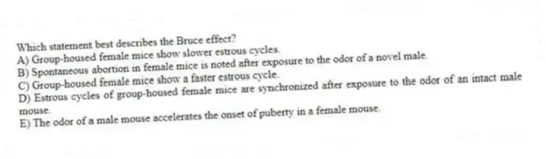 Which statement best describes the Bruce effect?
A) Group-housed female mice show slower estrous cycles.
B) Spontaneous abortion in female mice is noted after exposure to the odor of a novel male.
C) Group-housed female mice show a faster estrous cycle.
D) Estrous cycles of group-housed female mice are synchronized after exposure to the odor of an intact male mouse.
E) The odor of a male mouse accelerates the onset of puberty in a female mouse.