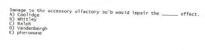 Damage to the accessory olfactory bulb would impair the ______ effect.
A) Coolidge
B) Whitley
C) Ralph
D) Vandenbergh
E) pheromone