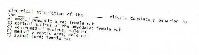 Electrical stimulation of the ________ elicits copulatory behavior in the ________.
A) medial preoptic area; female rat
B) central nucleus of the amygdala; female rat
C) ventromedial nucleus; male rat
D) medial preoptic area; male rat
E) spinal cord; female rat