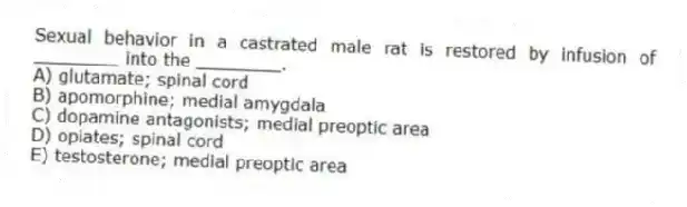 Sexual behavior in a castrated male rat is restored by infusion of ________ into the ________.
A) glutamate; spinal cord
B) apomorphine; medial amygdala
C) dopamine antagonists; medial preoptic area
D) opiates; spinal cord
E) testosterone; medial preoptic area