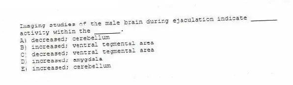 Imaging studies of the male brain during ejaculation indicate _______ activity within the _______.
A) decreased; cerebellum
B) increased; ventral tegmental area
C) decreased; ventral tegmental area
D) increased; amygdala
E) increased; cerebellum