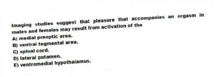 Imaging studies suggest that pleasure that accompanies an orgasm in males and females may result from activation of the
A) medial preoptic area.
B) ventral tegmental area.
C) spinal cord.
D) lateral putamen.
E) ventromedial hypothalamus.