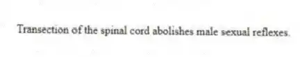 Transection of the spinal cord abolishes male sexual reflexes.