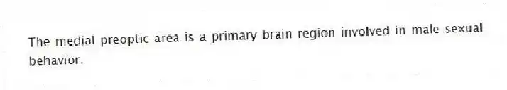 The medial preoptic area is a primary brain region involved in male sexual behavior.