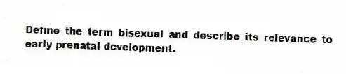 Define the term bisexual and describe its relevance to early prenatal development.