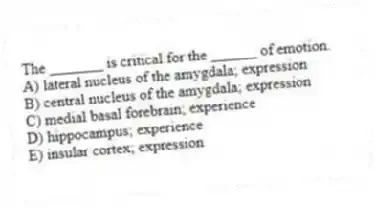 The _______ is critical for the ______ of emotion.
A) lateral nucleus of the amygdala; expression
B) central nucleus of the amygdala; expression
C) medial basal forebrain; experience
D) hippocampus; experience
E) insular cortex; expression