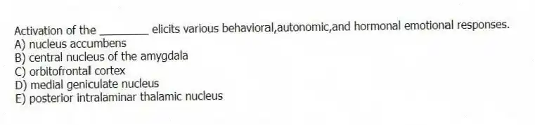 Activation of the ________ elicits various behavioral,autonomic,and hormonal emotional responses.
A) nucleus accumbens
B) central nucleus of the amygdala
C) orbitofrontal cortex
D) medial geniculate nucleus
E) posterior intralaminar thalamic nucleus