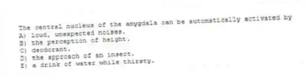 The central nucleus of the amygdala can be automatically activated by
A) loud, unexpected noises.
B) the perception of height.
C) deodorant.
D) the approach of an insect.
E) a drink of water while thirsty.