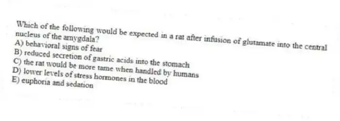Which of the following would be expected in a rat after infusion of glutamate into the central nucleus of the amygdala?
A) behavioral signs of fear
B) reduced secretion of gastric acids into the stomach
C) the rat would be more tame when handled by humans
D) lower levels of stress hormones in the blood
E) euphoria and sedation