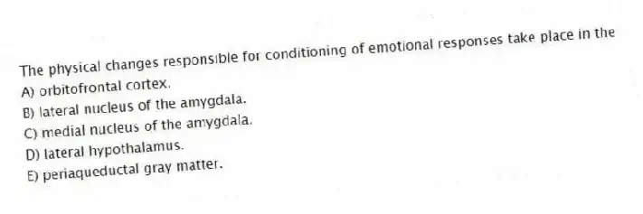 The physical changes responsible for conditioning of emotional responses take place in the
A) orbitofrontal cortex.
B) lateral nucleus of the amygdala.
C) medial nucleus of the amygdala.
D) lateral hypothalamus.
E) periaqueductal gray matter.