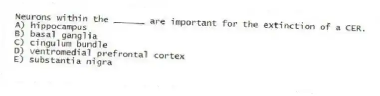 Neurons within the ______ are important for the extinction of a CER.
A) hippocampus
B) basal ganglia
C) cingulum bundle
D) ventromedial prefrontal cortex
E) substantia nigra