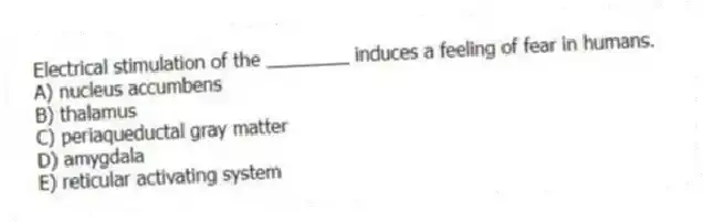 Electrical stimulation of the ________ induces a feeling of fear in humans.
A) nucleus accumbens
B) thalamus
C) periaqueductal gray matter
D) amygdala
E) reticular activating system