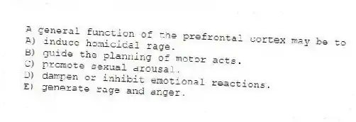 A general function of the prefrontal cortex may be to
A) induce homicidal rage.
B) guide the planning of motor acts.
C) promote sexual arousal.
D) dampen or inhibit emotional reactions.
E) generate rage and anger.