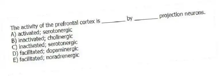 The activity of the prefrontal cortex is ________ by ________ projection neurons.
A) activated; serotonergic
B) inactivated; cholinergic
C) inactivated; serotonergic
D) facilitated; dopaminergic
E) facilitated; noradrenergic