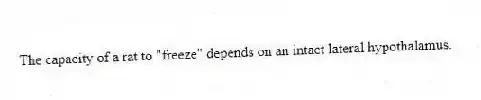 The capacity of a rat to "freeze" depends on an intact lateral hypothalamus.