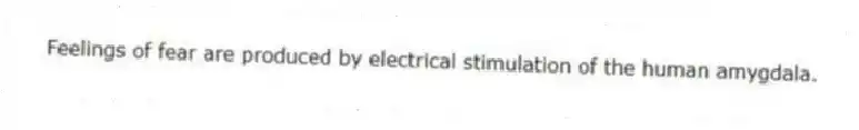 Feelings of fear are produced by electrical stimulation of the human amygdala.