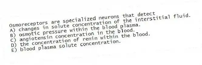 Osmoreceptors are specialized neurons that detect
A) changes in solute concentration of the interstitial fluid.
B) osmotic pressure within the blood plasma.
C) angiotensin concentration in the blood.
D) the concentration of renin within the blood.
E) blood plasma solute concentration.