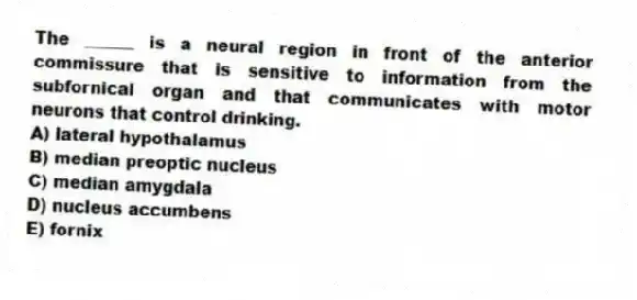 The ______ is a neural region in front of the anterior commissure that is sensitive to information from the subfornical organ and that communicates with motor neurons that control drinking.
A) lateral hypothalamus
B) median preoptic nucleus
C) median amygdala
D) nucleus accumbens
E) fornix