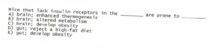 Mice that lack insulin receptors in the ________ are prone to ________.
A) brain; enhanced thermogenesis
B) brain; altered metabolism
C) brain; develop obesity
D) gut; reject a high-fat diet
E) gut; develop obesity