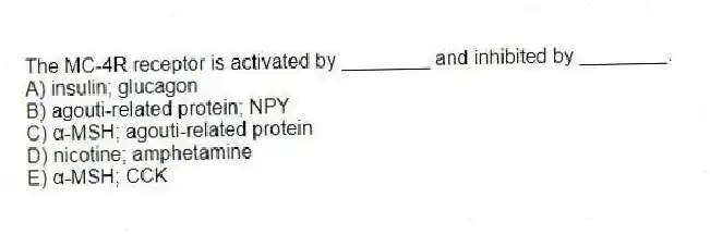 The MC-4R receptor is activated by ________ and inhibited by ________.
A) insulin; glucagon
B) agouti-related protein; NPY
C) α-MSH; agouti-related protein
D) nicotine; amphetamine
E) α-MSH; CCK
