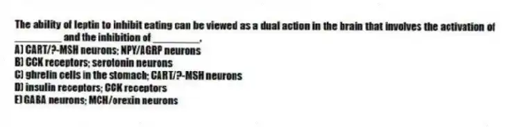 The ability of leptin to inhibit eating can be viewed as a dual action in the brain that involves the activation of ________ and the inhibition of ________.
A) CART/?-MSH neurons; NPY/AGRP neurons
B) CCK receptors; serotonin neurons
C) ghrelin cells in the stomach; CART/?-MSH neurons
D) insulin receptors; CCK receptors
E) GABA neurons; MCH/orexin neurons